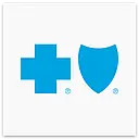 Blue Cross and Blue Shield Association